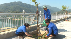 Tuổi trẻ Liên chi đoàn Khoa Lịch sử- Đại học Quy Nhơn chung tay xây dựng nông thôn mới